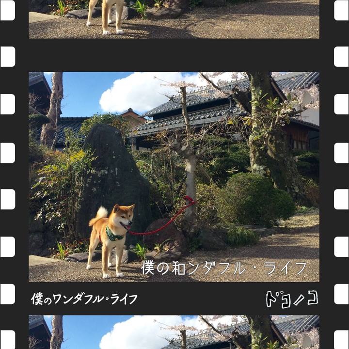 F6d8d5fd fde1 43e4 8151 774e3b602afc