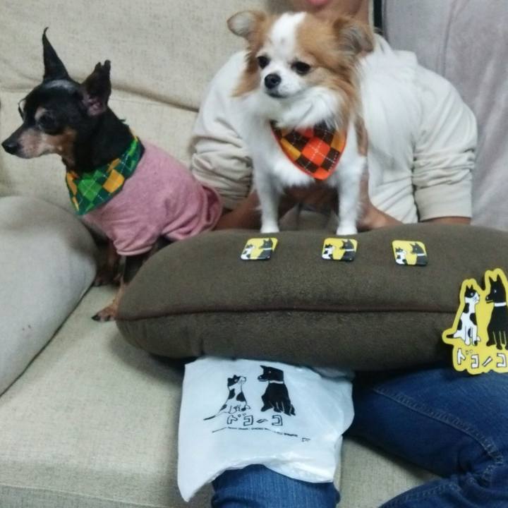 F6da29ff 8555 4181 971a b2458439f259