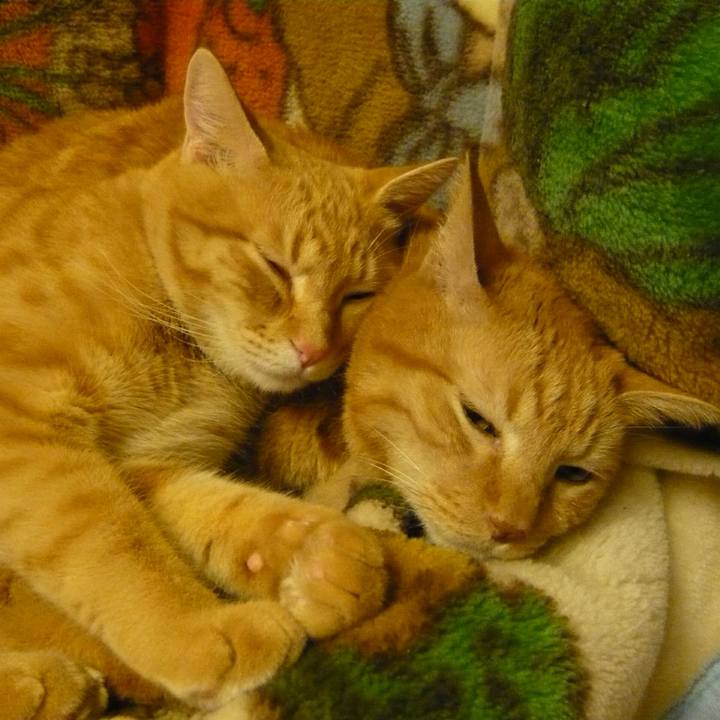 F6da518e 55e4 470d 8abe 9bca5ddb05b3