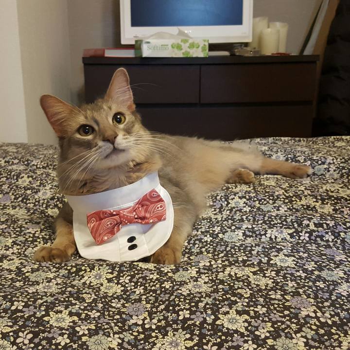 F6da54ce e8c6 49c3 895d 3e777dc28bba