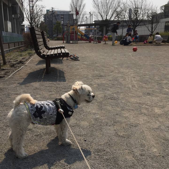 F6da9919 e2fb 4b5d b64b 0dec4897e41c