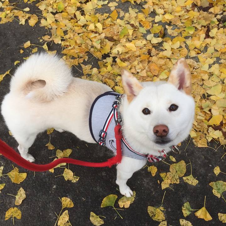 F6db515c fdb3 4e17 a7be 4ea59b886e3a