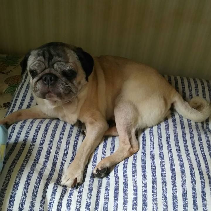 F6dbb05b 37de 41df 98ed dd053611c357