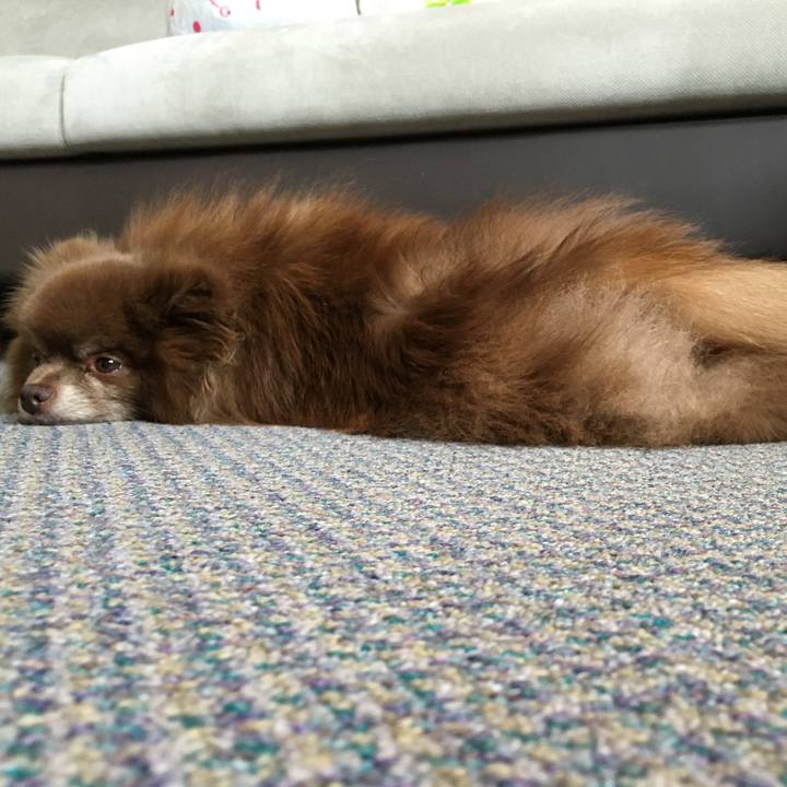 F6dbb5ab 41d4 4932 9d65 1f75efd55184