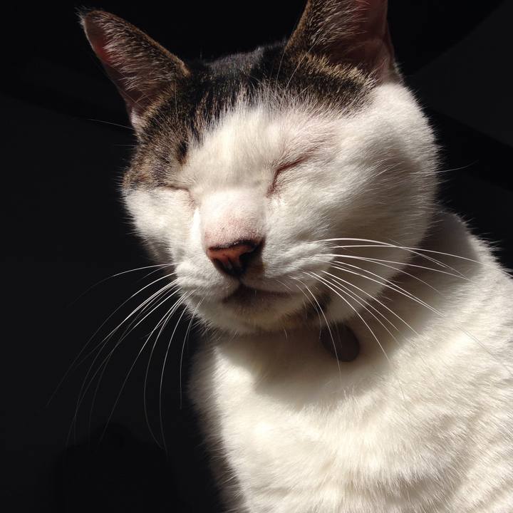 F6dbe41c 8931 4269 b247 3cf63281975f