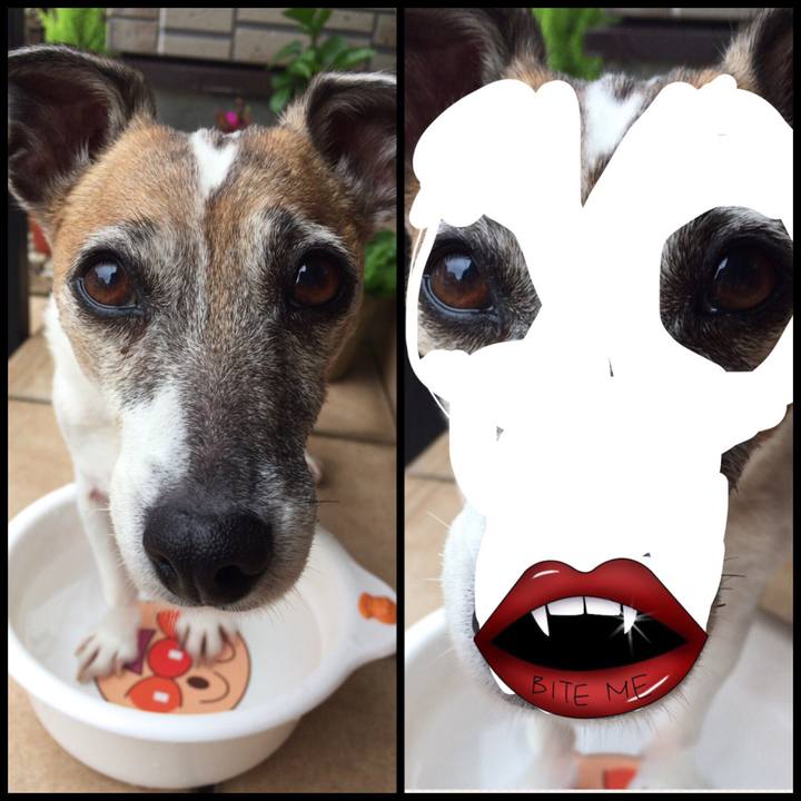 F6dc8b49 7e5c 4d83 a7f6 54a2e4d5a82b