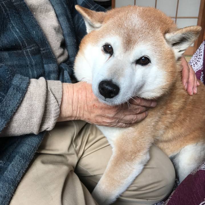 F6dd8ef7 4b21 49ee a9a3 567912d65de9