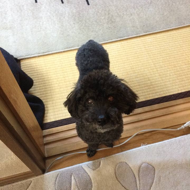 F6ddf70a f0ec 43b1 80a5 9f5894ebb1e8