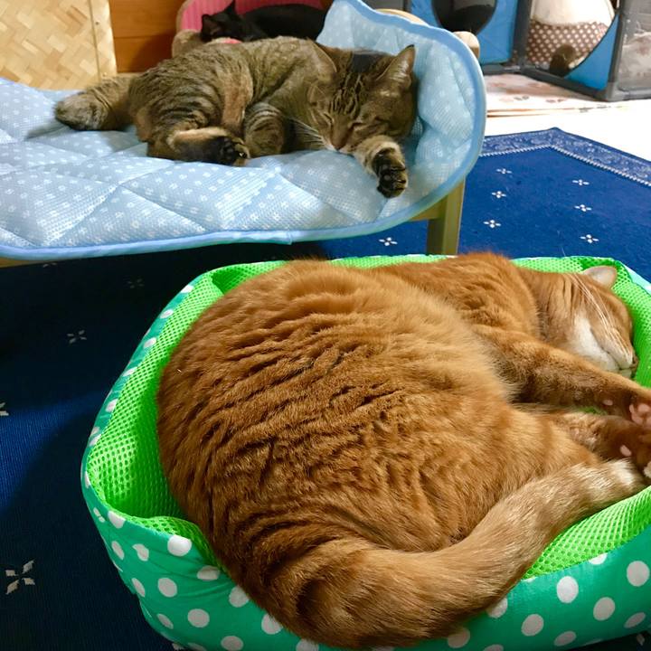 F6de137a 4c8a 4ee7 a910 ff6e209473d3