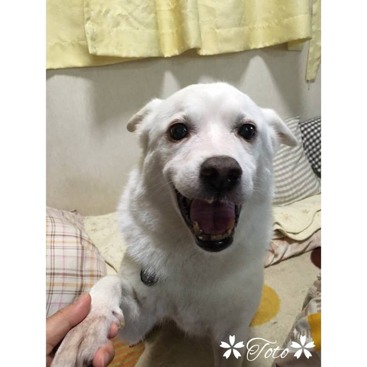 F6de8d90 13e4 4f20 87a0 8229ca5203e5