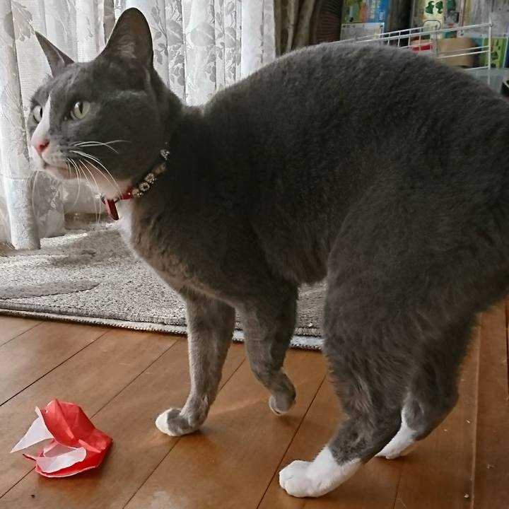 F6de904f 296e 4cfa 9433 925a051daa07