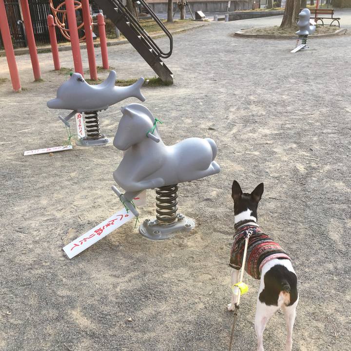 F6dec9b0 8d87 43be b10a 17875bac0537