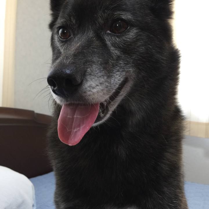 F6def338 025d 4653 acb5 ed4871cbc4e6