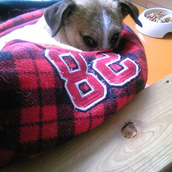 F6df7fc2 0c45 4dfd a45f fd2f2e133e44