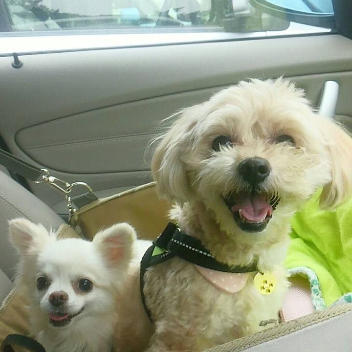 F6df9a00 841b 40f6 ac0a a87c7bd359a6