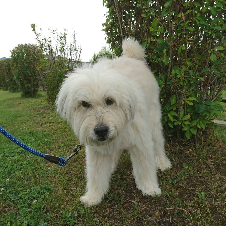 F6dfc5c4 7c7f 4e24 a8f5 95e975a729ba