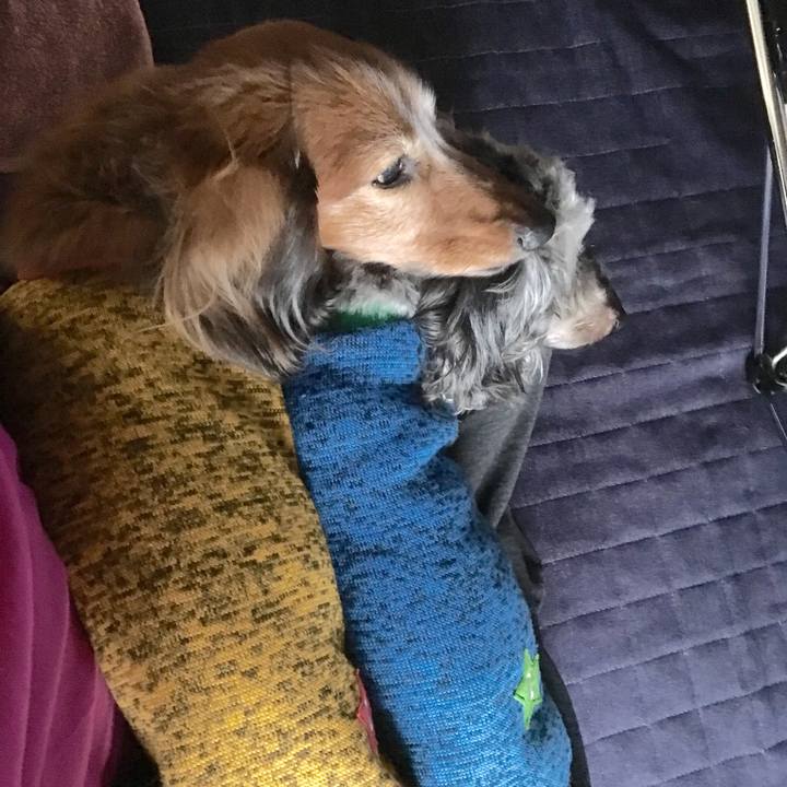 F6e0704c ae1e 4d95 a29c c8b1065a1666