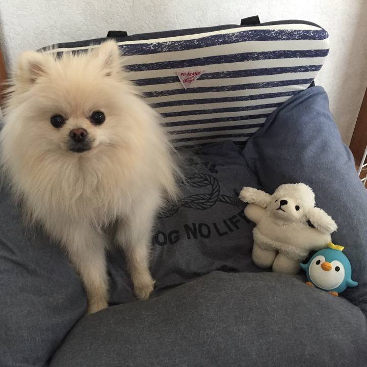 F6e0e06d d035 46ad bd81 1a27c867acb9