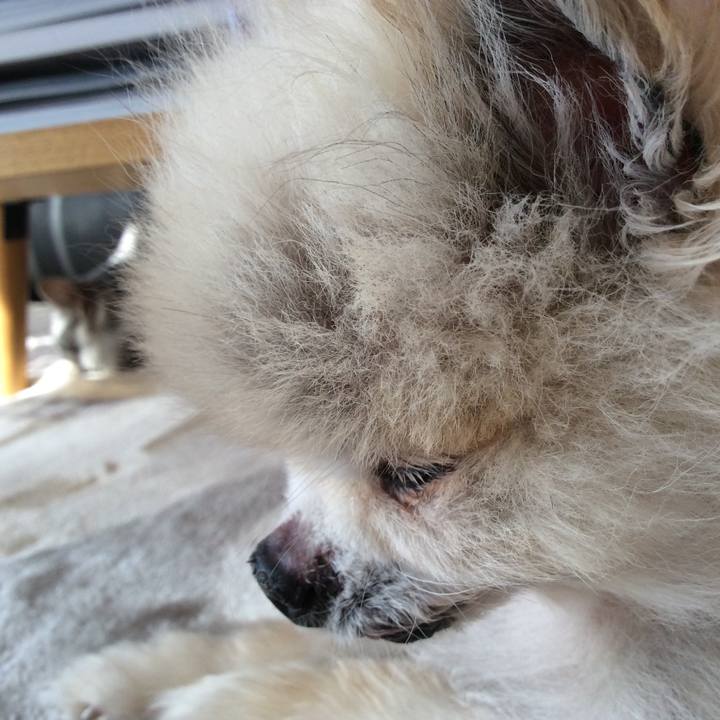 F6e1e1c2 af48 4ba3 aa79 b66a3f052bad