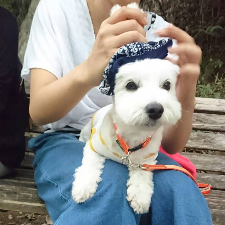 F6e1fa91 80ca 4a28 a9ce 42acd5408c6c