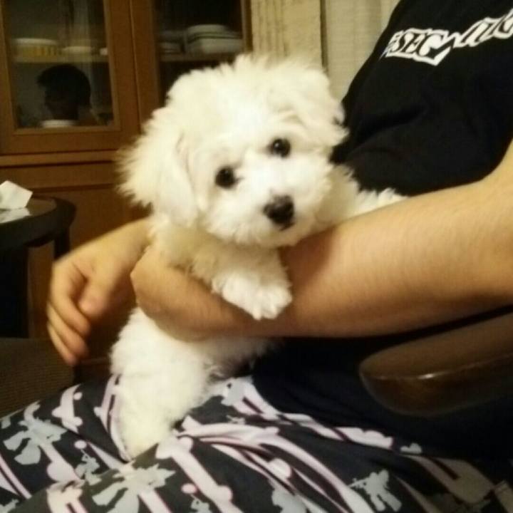 F6e207ec 7a1e 4950 b93f 4e6cfdc1286e