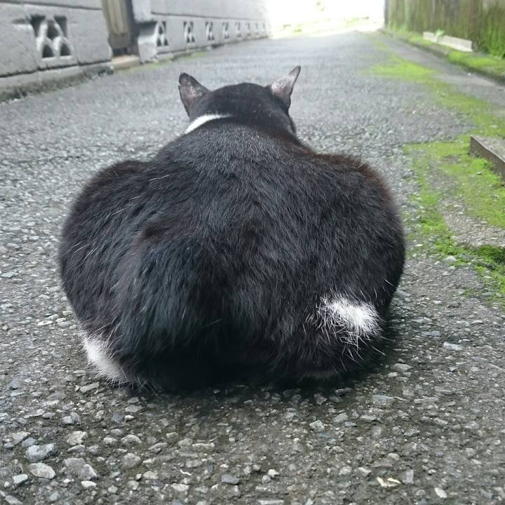 F6e224a6 5294 4df9 94c9 a73b9b63c762