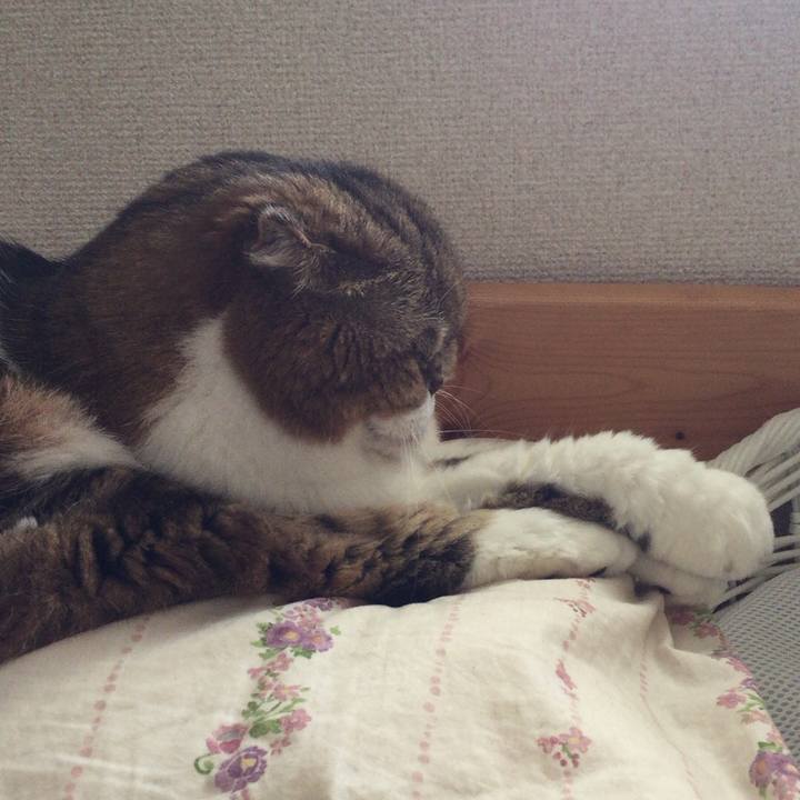 F6e280a5 8361 4ee9 9d24 18b47733e5cf