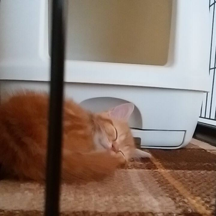 F6e2b2cb 7050 4fc4 a1eb fe07a0e1767e