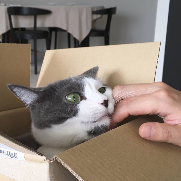 F6e2f770 d778 40dc 8fec 86f9ca505cb2