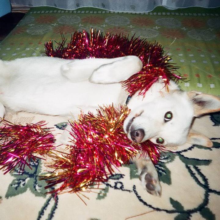 F6e331bf afec 4a1a 8afa 5e2068da896e