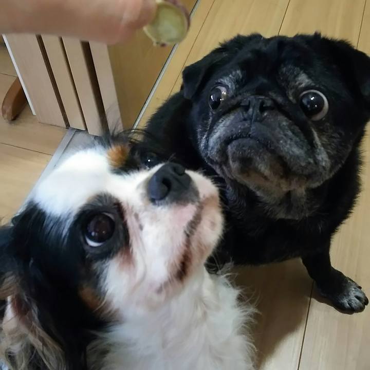 F6e34999 3bd3 4d5e 94f0 909b713c0f27