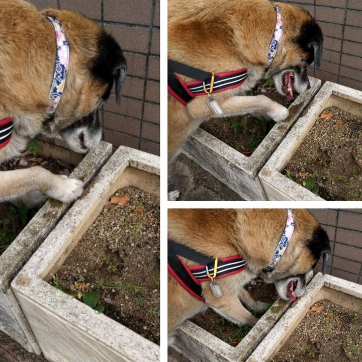 F6e36ece aede 4917 b746 bfcb4dd84545