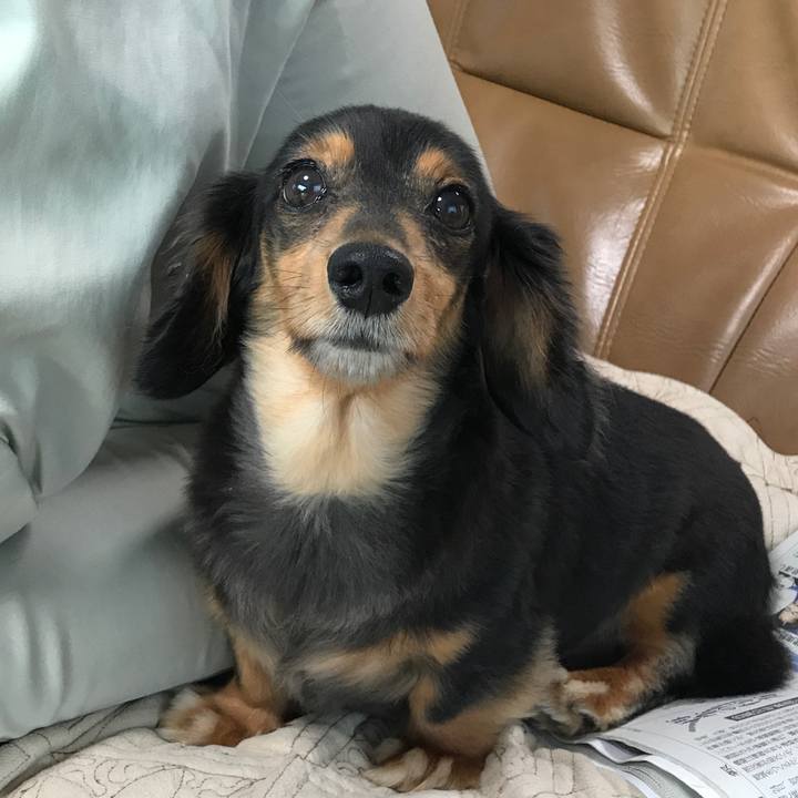 F6e3745e 8446 49d0 8db5 bb255a843e0e