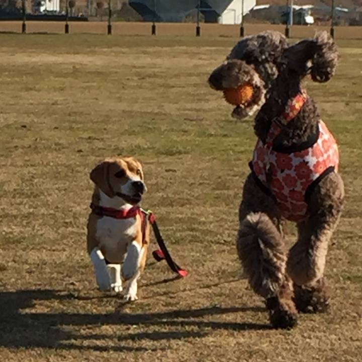 F6e3d420 f188 4c04 ab6c 6930a48f919e