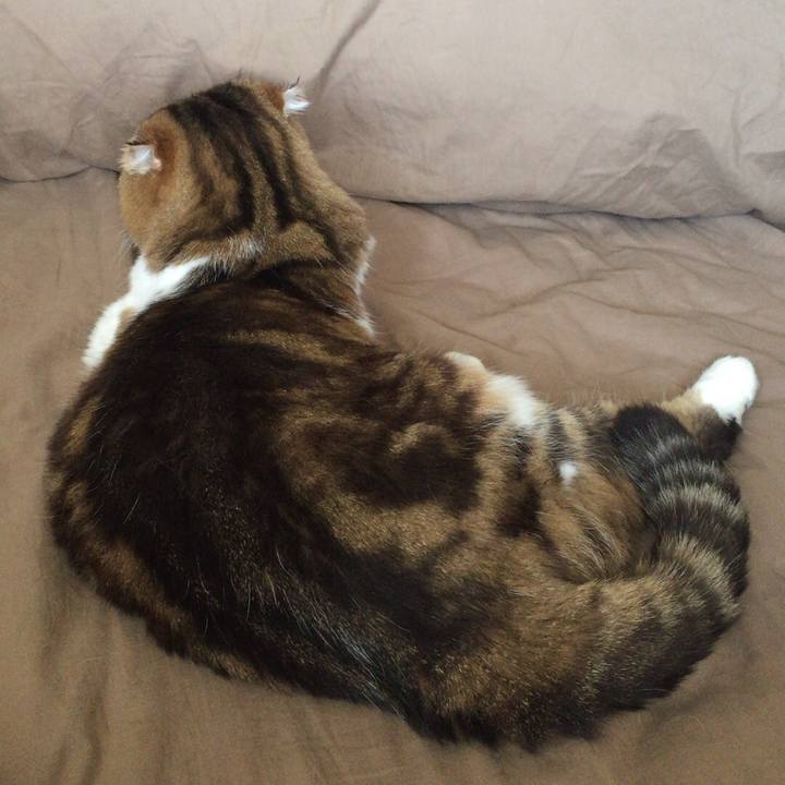 F6e41e1b 77d6 4d37 8965 eebbea96c943