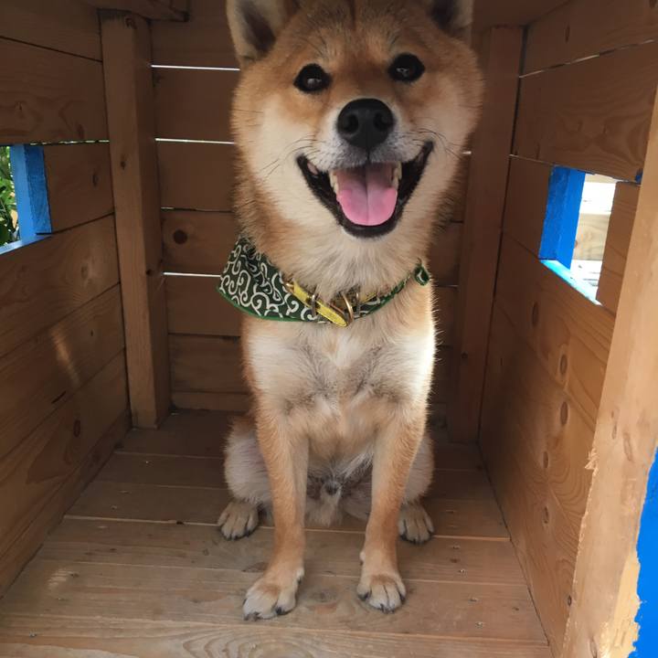 F6e42530 b012 4730 bf2a 17a3982055c0