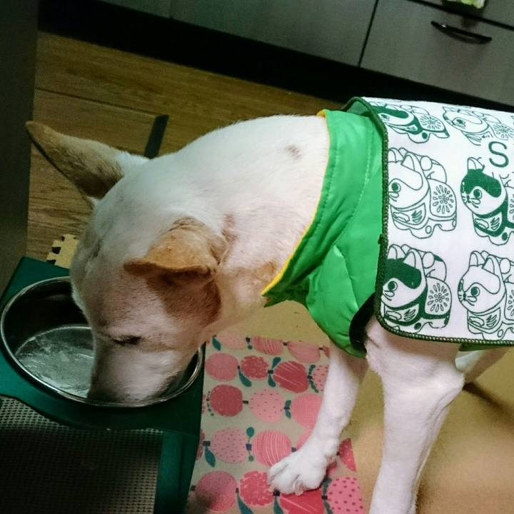 F6e59cbe b11e 4c8b 95ae 082b4bb5fc1e