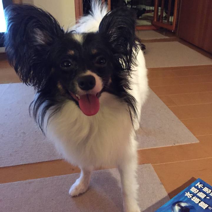 F6e62a7e 66ba 4378 a60c 7b2b7452a146