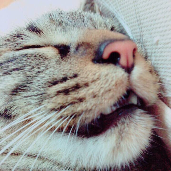 F6e62c05 d3fe 402c 9baf 1e51ab0d6c3a