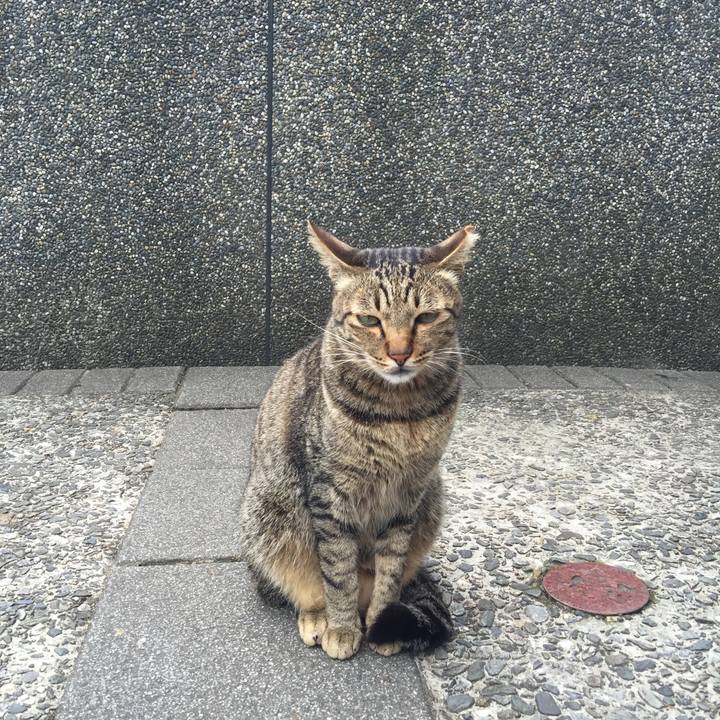 F6e65a86 cf24 4448 b754 9f2274a06fb7