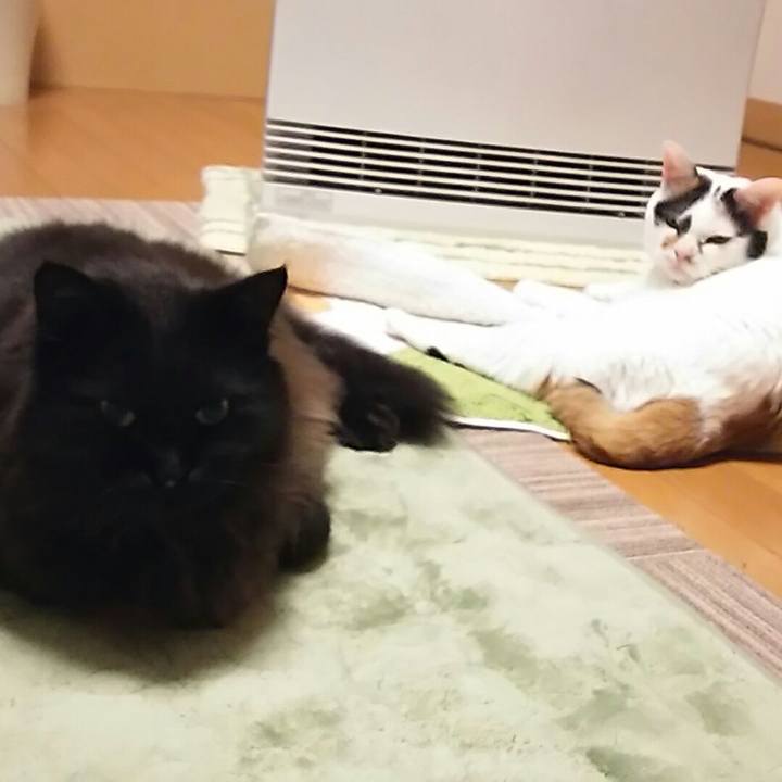 F6e66427 6722 4c5c 9697 da7ed6c7c54b