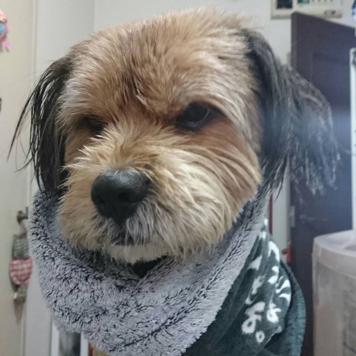 F6e6b0c9 620b 4522 8113 4c88f98502c4