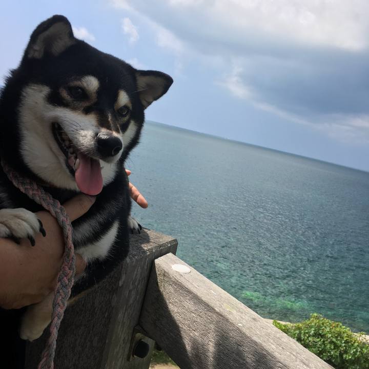 F6e6bf28 9a08 42b0 a238 71215658d340