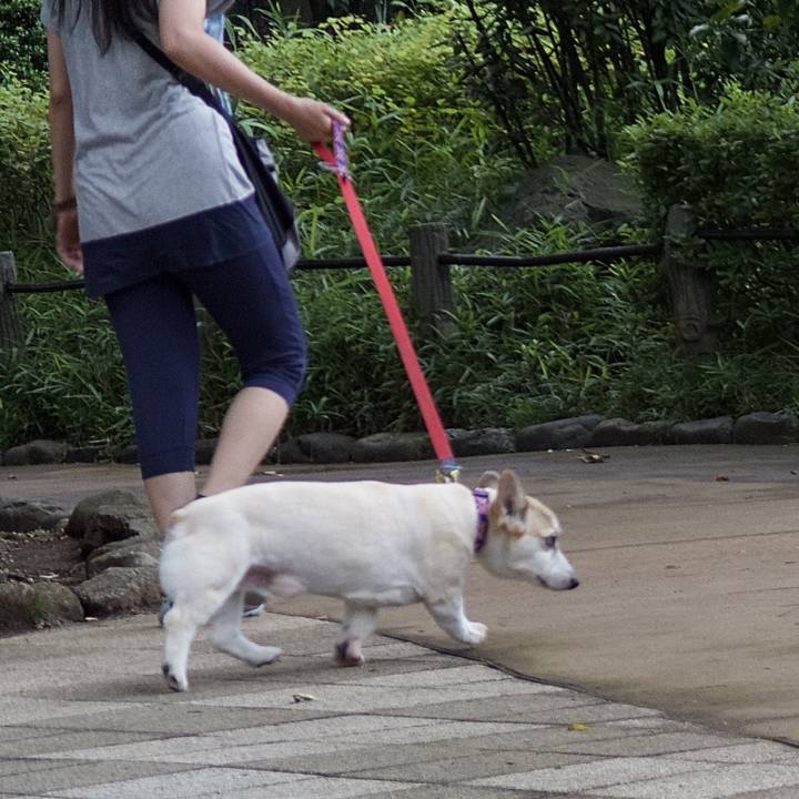 F6e71417 7664 46c6 8e5d 15549953e083