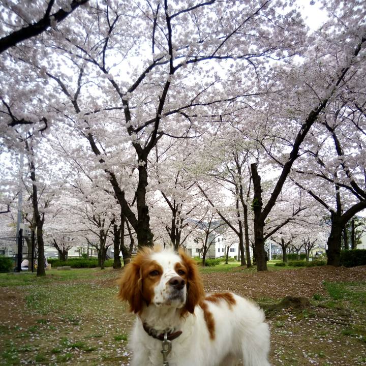 F6e8768c 3069 438c 9604 2645d05be43c