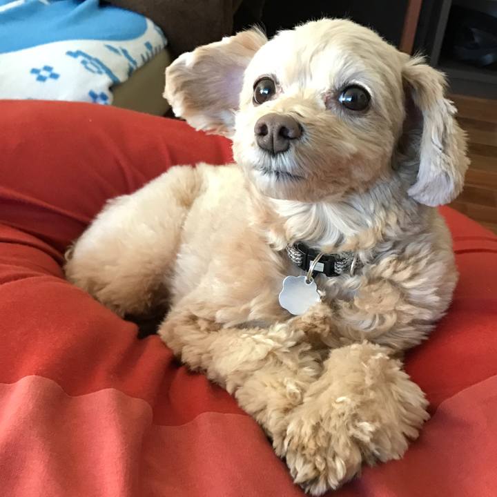 F6e949ef bbdf 4bd2 a7e2 89716f42d984