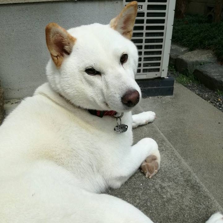 F6e9b195 795e 449c 9490 592ecb50597e