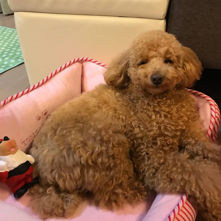 F6ea8ccd 987b 4d63 bfea 3ba8ee88e318