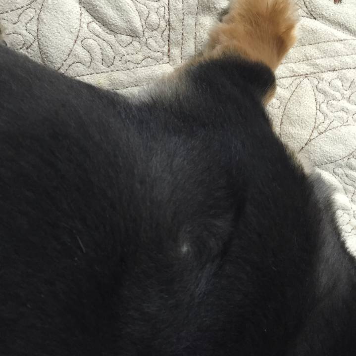 F6eb7a3f 6f57 4f18 81a1 9d920708882a