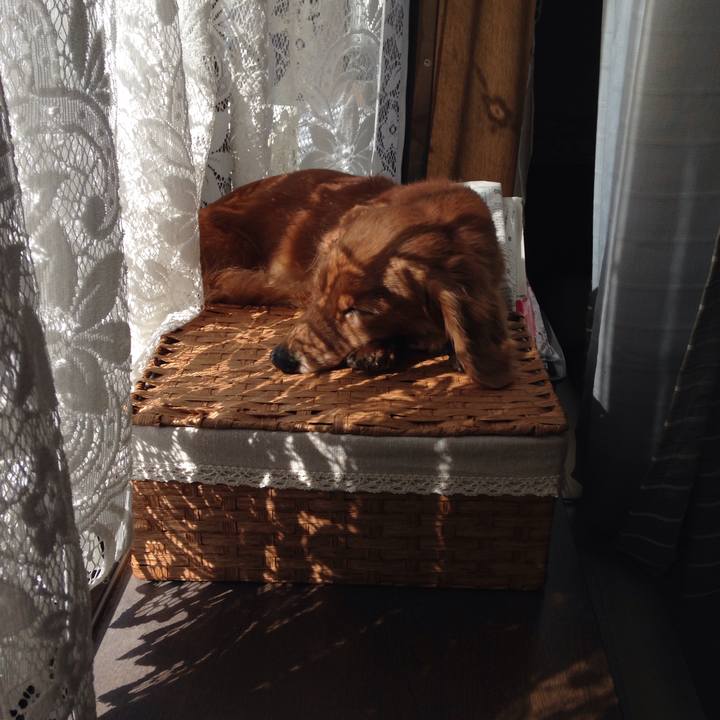 F6eba2ad 0962 4263 8b92 c40c6bac7cde